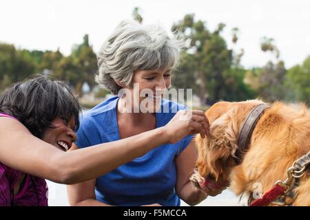 Zwei Reife Freundinnen, Streichelzoo, Hund, im freien Stockfoto