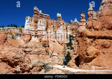 Farbige Felsen, Formationen, Feenkamine, Wanderer im Queens Garden Trail, Bryce-Canyon-Nationalpark, Utah, USA Stockfoto