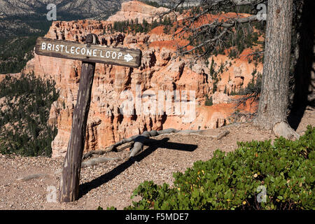 Wegweiser, Bristlecone Kiefer Rundwanderweg, Bryce-Canyon-Nationalpark, Utah, USA Stockfoto