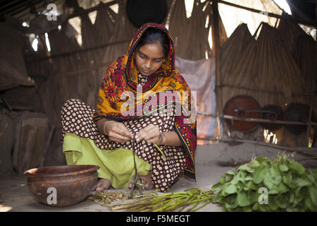 6. November 2015 - Gazipur, Bangladesch - DHAKA, BANGLADESH 06. November: ein Landfrauen in Bangladesch Verarbeitung von Gemüse für Mittag essen sie ihr Ackerland in der Nähe von Dhaka am 06 November abgeholt haben, 2015..Almost drei Viertel der Bevölkerung leben in ländlichen Gebieten. Familien im ländlichen Bangladesch verlassen sich hauptsächlich auf Landwirtschaft, Geflügel und Fischen für ihr tägliches Einkommen... Auf nachhaltige Entwicklung-Gipfel am 25. September 2015 wird UN-Mitgliedsstaaten die Agenda 2030 für nachhaltige Entwicklung, verabschieden, die enthält eine Reihe von 17 Zielen für nachhaltige Entwicklung (SDG) Armut beenden, kämpfen inequalit Stockfoto