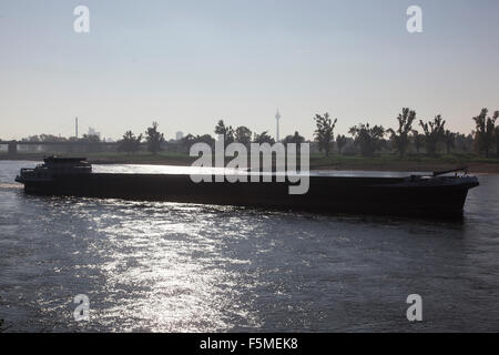 Freigther am Rhein bei Düsseldorf Stockfoto