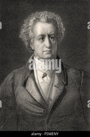 Stahlstich, Friedrich Pecht, Johann Wolfgang von Goethe, 1749-1832, Stockfoto