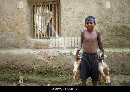 6. November 2015 - Gazipur, Bangladesch - DHAKA, BANGLADESH 06. November: Kinder nehmen ihre Ente für Futtermittel in der Nähe von Dhaka am 06 November Hause, 2015..Almost drei Viertel der Bevölkerung leben in ländlichen Gebieten. Familien im ländlichen Bangladesch verlassen sich hauptsächlich auf Landwirtschaft, Geflügel und Fischen für ihr tägliches Einkommen... Auf nachhaltige Entwicklung-Gipfel am 25. September 2015 wird UN-Mitgliedstaaten die Agenda 2030 für nachhaltige Entwicklung, verabschieden, die enthält eine Reihe von 17 Ziele für nachhaltige Entwicklung (SDG) Ende Armut, Ungleichheit und Ungerechtigkeit zu bekämpfen und zur Bekämpfung des Klimawandels durch 2030..Pri Stockfoto