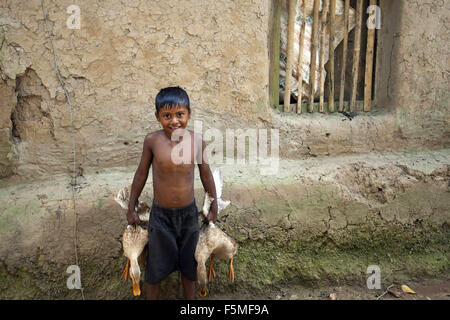 6. November 2015 - Gazipur, Bangladesch - DHAKA, BANGLADESH 06. November: Kinder nehmen ihre Ente für Futtermittel in der Nähe von Dhaka am 06 November Hause, 2015..Almost drei Viertel der Bevölkerung leben in ländlichen Gebieten. Familien im ländlichen Bangladesch verlassen sich hauptsächlich auf Landwirtschaft, Geflügel und Fischen für ihr tägliches Einkommen... Auf nachhaltige Entwicklung-Gipfel am 25. September 2015 wird UN-Mitgliedstaaten die Agenda 2030 für nachhaltige Entwicklung, verabschieden, die enthält eine Reihe von 17 Ziele für nachhaltige Entwicklung (SDG) Ende Armut, Ungleichheit und Ungerechtigkeit zu bekämpfen und zur Bekämpfung des Klimawandels durch 2030..Pri Stockfoto