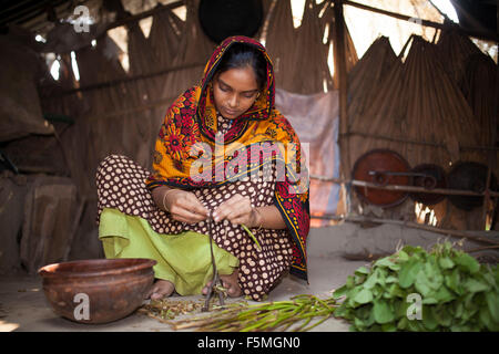 Dhaka, Bangladesch. 6. November 2015. Landfrauen in Bangladesch Verarbeitung Gemüse für Mittag essen haben sie von ihren Äckern in der Nähe von Dhaka am 6. November 2015 gesammelt. Fast drei Viertel der Bevölkerung leben in ländlichen Gebieten. Familien im ländlichen Bangladesch verlassen sich hauptsächlich auf Landwirtschaft, Geflügel und Fischen für ihr tägliches Einkommen. Bildnachweis: Zakir Hossain Chowdhury Zakir/Alamy Live-Nachrichten Stockfoto