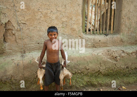 Dhaka, Bangladesch. 6. November 2015. Kinder nehmen ihre Ente für Futtermittel in der Nähe von Dhaka am 6. November 2015 Hause. Fast drei Viertel der Bevölkerung leben in ländlichen Gebieten. Familien im ländlichen Bangladesch verlassen sich hauptsächlich auf Landwirtschaft, Geflügel und Fischen für ihr tägliches Einkommen. Auf nachhaltige Entwicklung-Gipfel am 25. September 2015 wird UN-Mitgliedsstaaten Agenda 2030 für nachhaltige Entwicklung umfasst eine Reihe von 17 Ziele für nachhaltige Entwicklung (SDG) Ende Armut, Ungleichheit und Ungerechtigkeit zu bekämpfen und zur Bekämpfung des Klimawandels bis 2030 verabschieden. © Zakir Hossain Chowdhury Zakir/Al Stockfoto