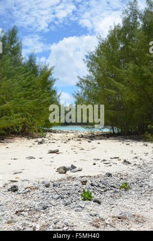 Strand-Landschaft, Rarotonga, Cook-Inseln Stockfoto