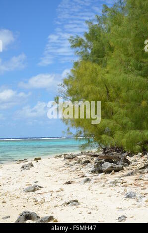 Strand-Landschaft, Rarotonga, Cook-Inseln Stockfoto