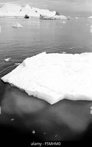 HMS Endurance und Eisberge BAS 1973 Stockfoto