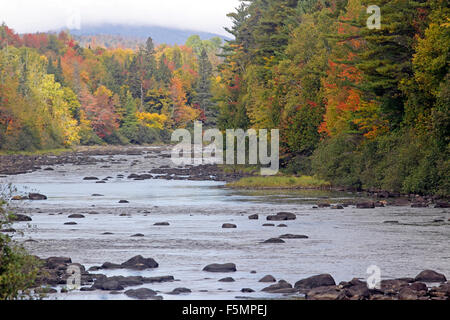 Herbst Laub Androscoggin River Coos County New Hampshire New England USA Stockfoto