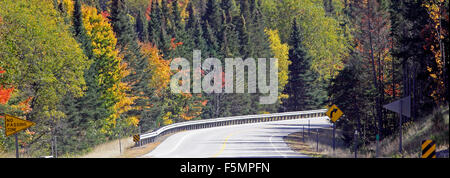 Herbst Laub Androscoggin River Coos County New Hampshire New England USA Stockfoto