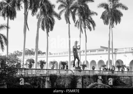 Schwarz-weiß Bild von Palmen und Gärten mit einer Nachbildung von Michelangelos David in den klingelnden Art Museum, Sarasota, FL Stockfoto