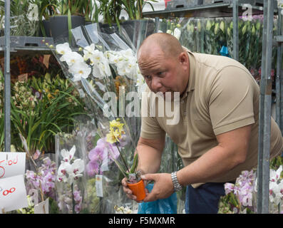 Standinhaber, Kolumbien Road Flower Market London London Market Blumenverkäuferin Stockfoto