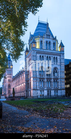 Museum für Naturgeschichte in der Nacht, Cromwell Road, London. Stockfoto