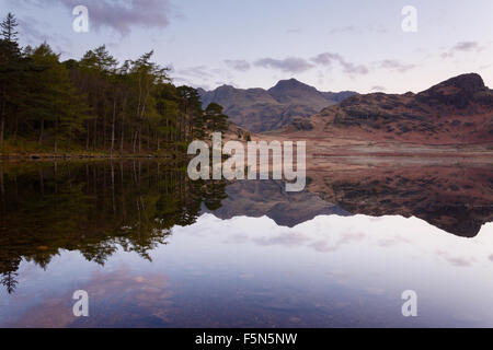 Langdale Pikes spiegelt sich in Blea Tarn, englischen Lake District Stockfoto