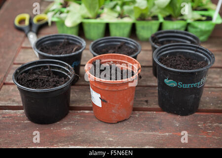 Gartenpflanze Töpfe gefüllt mit Erde und bereit zum Topfen Stockfoto