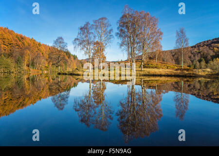 Perfekte Reflexionen die Herbstfarben am Loch Tummel, Schottland Stockfoto