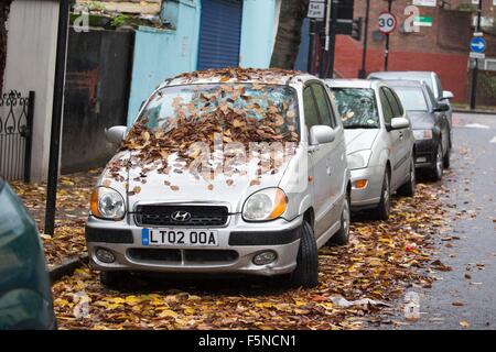 Blätter fallen im Herbst Motorhaube geparkt überdachte Stockfoto