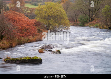 Herbstfarben im River Tywi, River Towy, von Dinas RSPB Bird Reserve, Mid Wales, Großbritannien im November Stockfoto