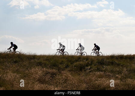 Silhouetten der vier Radfahrer von einem geringen Vorteil. Es ist Sommer in Dänemark und die Leute sind auf ihren Fahrrädern. Stockfoto