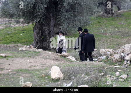 Hebron, Westjordanland, Palästinensische Gebiete. 7. November 2015. Eine orthodoxe jüdische Siedler Spaziergang vorbei am Haus der Jugend gegen die Siedlung in der Westbank von Hebron 7. November 2015. Die israelischen Besatzungstruppen besetzen das Zentrum Jugend gegen Siedlung Inhaftierung von drei Aktivisten dort, '' sagte eine Erklärung auf Facebook gepostet. "sie sind alle gesperrt in der Mitte, von der Nutzung ihres Handys oder im Internet verboten. [Soldaten sind] nicht so dass niemand hinein oder aus ihm heraus. Bildnachweis: ZUMA Press, Inc./Alamy Live-Nachrichten Stockfoto