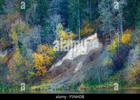 Fall colors Stockfoto