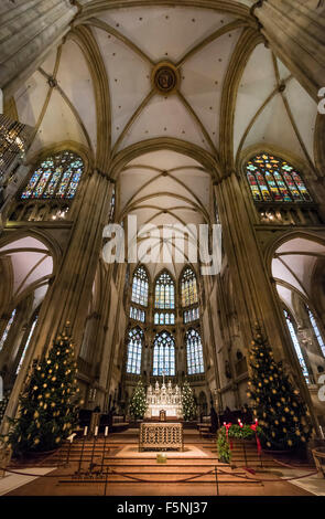 Weihnachtsdekoration im Regensburger Dom (Dom St. Peter), gotische Wahrzeichen von Regensburg, Deutschland (Bayern). Stockfoto