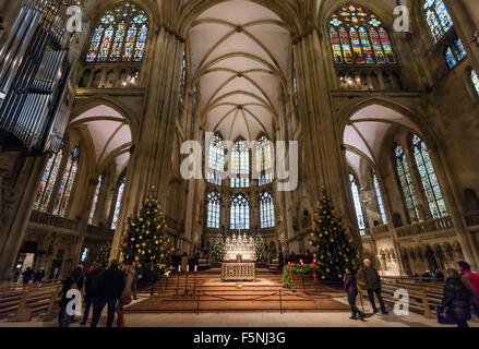 Weihnachtsdekoration im Regensburger Dom (Dom St. Peter), gotische Wahrzeichen von Regensburg, Deutschland (Bayern). Stockfoto