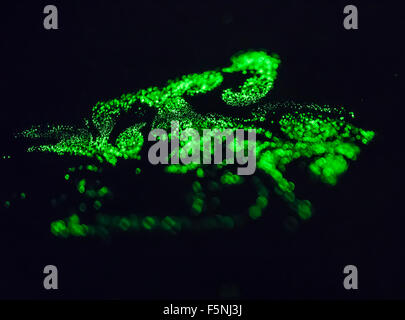 Wolke aus hellgrünem Staubpartikel in der Luft schweben und durch einen Laserstrahl beleuchtet. Psychedelische spaciger Atmosphäre. Stockfoto