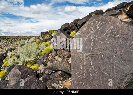 Petroglyphen (Felszeichnungen) auf Felsen, Boca Negra Canyon, Petroglyph National Monument, Albuquerque, New Mexico, Vereinigte Staaten Stockfoto