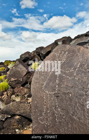 Petroglyphen (Felszeichnungen) auf Felsen, Boca Negra Canyon, Petroglyph National Monument, Albuquerque, New Mexico, Vereinigte Staaten Stockfoto