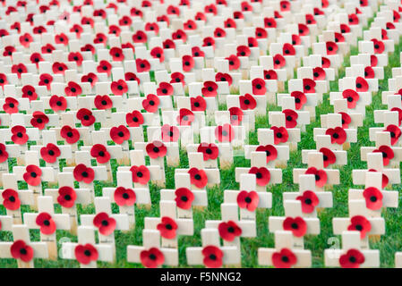 Roter Mohn in einem Feld der Erinnerung außerhalb der Kathedrale von Hereford, Großbritannien. Hölzerne Kreuze erinnern an die Weltkriege, England. Stockfoto