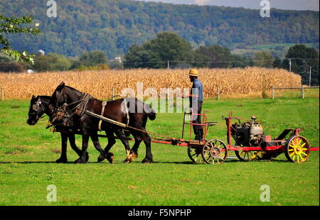 Lancaster County, Pennsylvania: Amish Landwirt Reiten in einem Feld Pinne von zwei Pferden gezogen * Stockfoto