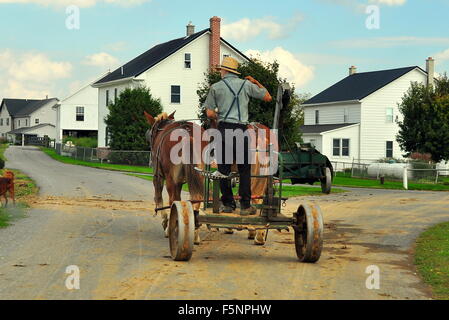Lancaster County, Pennsylvania: Amish Landwirt einen Bauernhof Fahrmaschine von zwei Eseln gezogen * Stockfoto