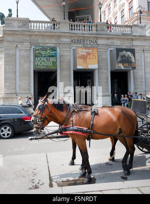 Wien, Österreich - 3. August 2015: Pferde am Eingang des historischen Albertina Museum im alten Zentrum von Wien am august 3, 2015 Stockfoto