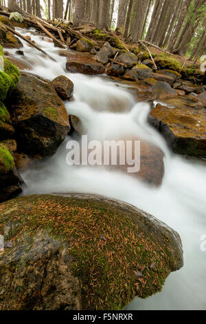 Herabstürzende Wasser über die Felsen in einem Bergfluss Stockfoto