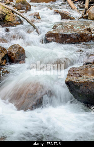 Weiße Wasser fließt über Felsen in einem kleinen Bach Stockfoto