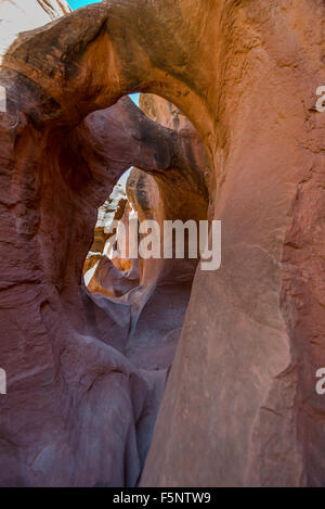 Bögen in schmalen, roten Sandstein Peekaboo Canyon Grand Staircase-Escalante erodiert