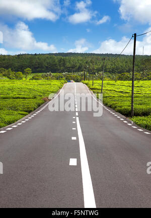 Mauritius. Die Straße zwischen grünem Tee Felder. Stockfoto