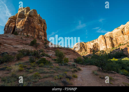 Landschaft auf dem Weg zu den Calf Creek Falls Stockfoto