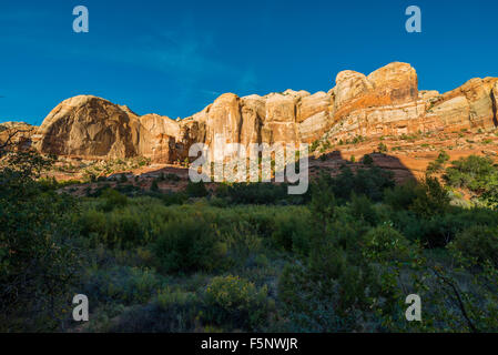 Landschaft auf dem Weg zu den Calf Creek Falls Stockfoto