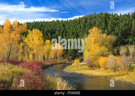 Farben des Herbstes entlang dem Blackfoot Flüsschen in der Nähe von Avon, montana Stockfoto