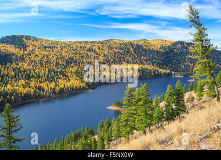 Herbstfarben der Lärche über dem Lachssee im clearwater River Valley nahe seeley Lake, montana Stockfoto