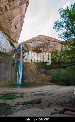 Niedrigere Calf Creek Falls, Calf Creek, Grand Staircase-Escalante National Monument, südlichen Utah, USA Stockfoto