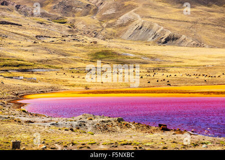 Laguna Miluni ist ein Stausee, gespeist von Glazial-Schmelzwasser aus den Anden Gipfel des Huayna Potosi in den bolivianischen Anden. Als Klima-ch Stockfoto