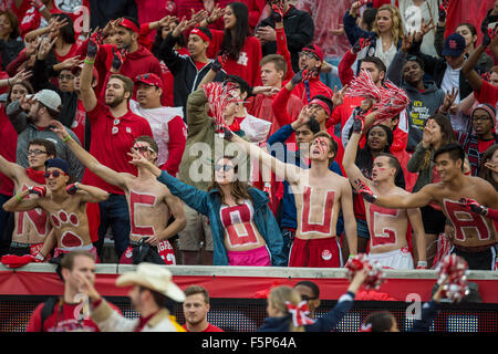 Houston, Texas, USA. 7. November 2015. Houston Cougars Fans vor der NCAA Football-Spiel zwischen die Cincinnati Bearcats und die University of Houston Cougars im TDECU Stadion in Houston, Texas. Trask Smith/CSM/Alamy Live-Nachrichten Stockfoto