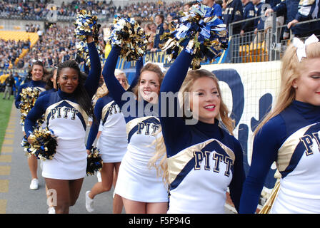 Pittsburgh, PA, USA. 7. November 2015. Pitt Cheerleader während der Notre Dame Vs Pitt Panthers spielen bei Heinz Field in Pittsburgh, PA. Jason Pohuski/CSM/Alamy Live-Nachrichten Stockfoto