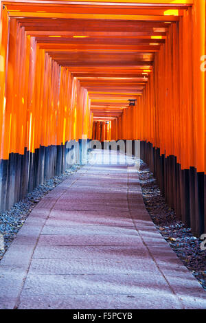 Senbon Torii im Fushimi Inari-Taisha, Kyoyo Japan Stockfoto