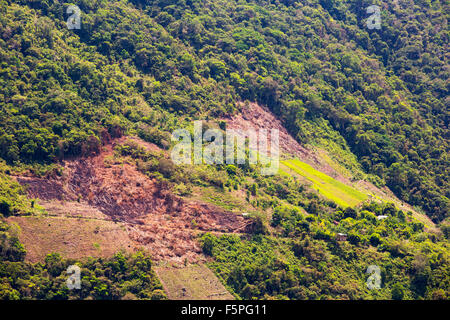Tropischen Bergwald in Bolivien in der Nähe von Coiroca, für die Landwirtschaft abgeholzt wird. Stockfoto