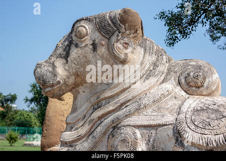 Nandi Bull Statue im Kailasanathar Tempel (8. Jahrhundert), Kanchipuram, Tamil Nadu, Indien Stockfoto